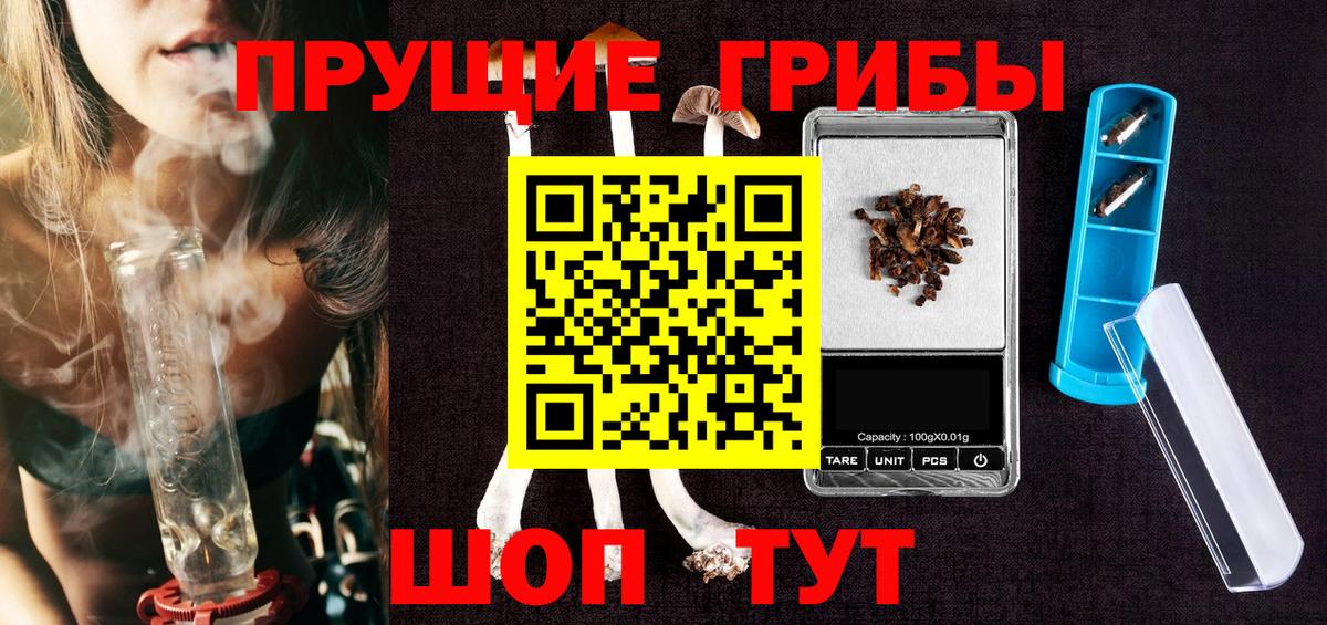 Сыктывкар  Галлюциногенные грибы Cubensis  Вход с VPN 